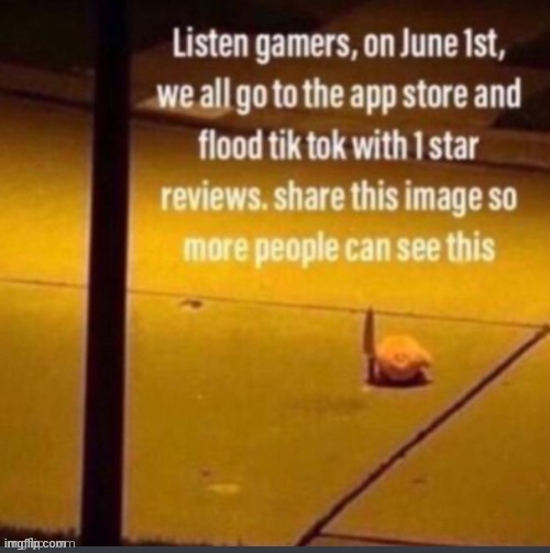 Flood Tiktok on June 1st  meme template
