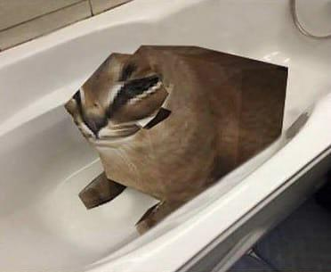 Floppa Tub  meme template