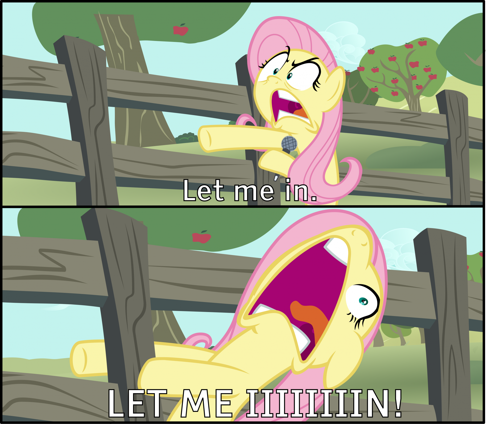 Fluttershy "Let Me In!"  meme template