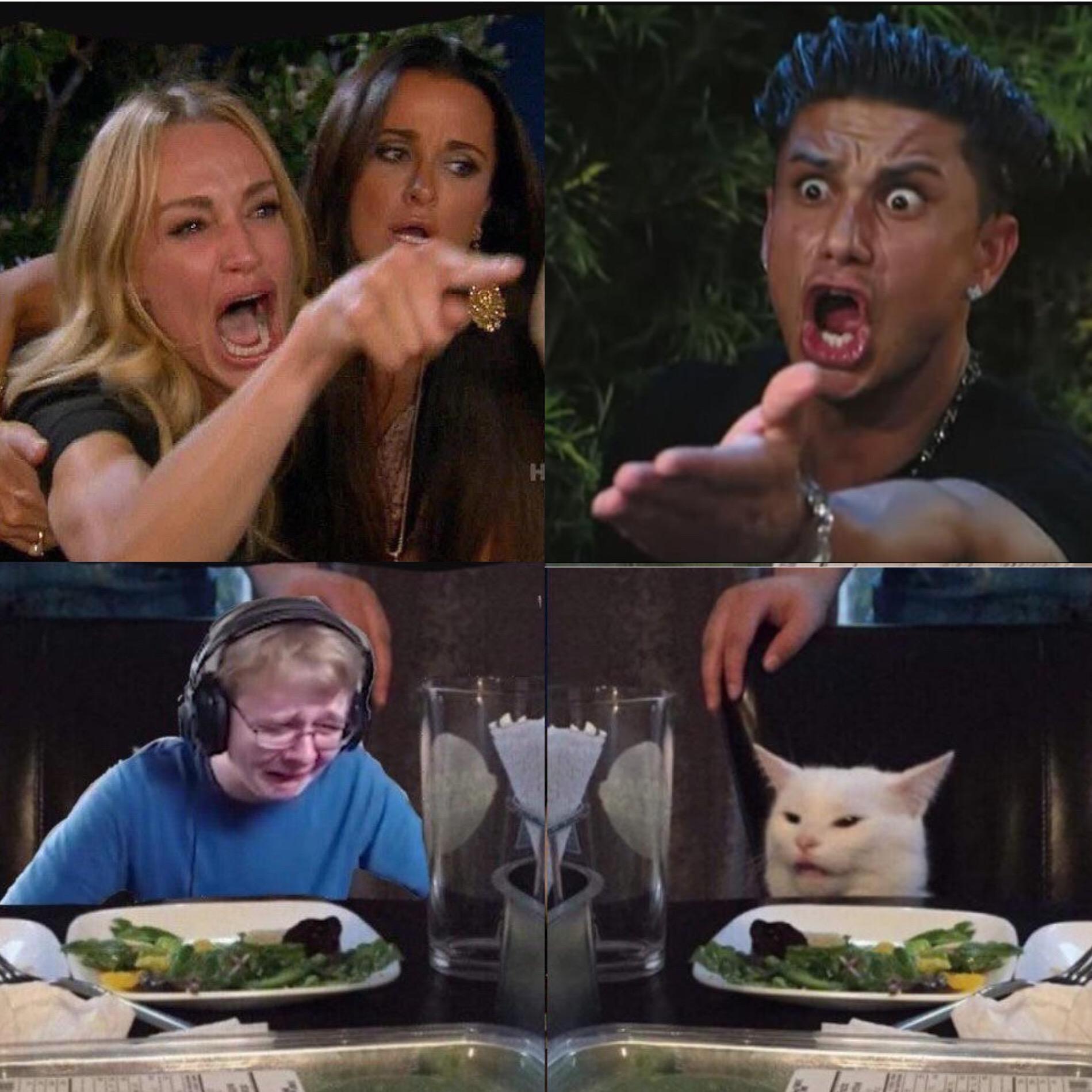 Four panel Taylor Armstrong Pauly D CallmeCarson Cat  meme template