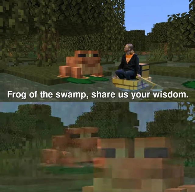 Frog of the swamp, share us your wisdom  meme template