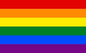 Gay Flag  meme template