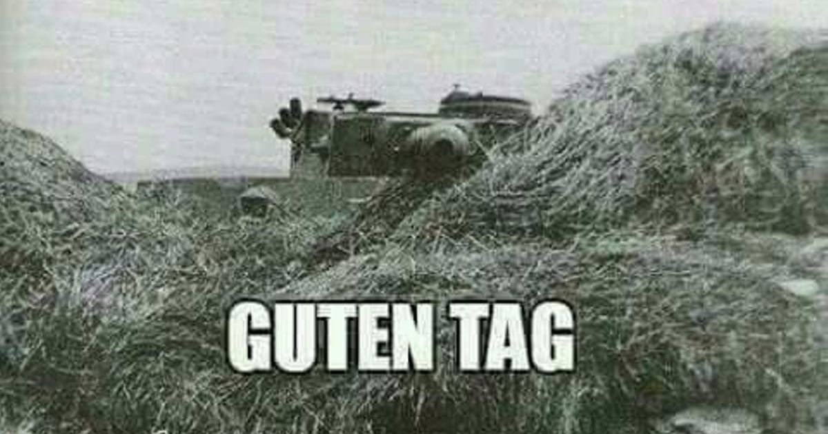 German guten tag tiger  meme template