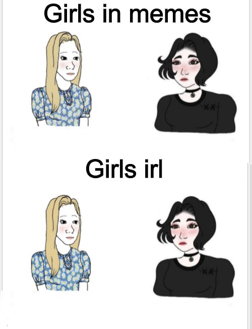 Girls in memes  meme template