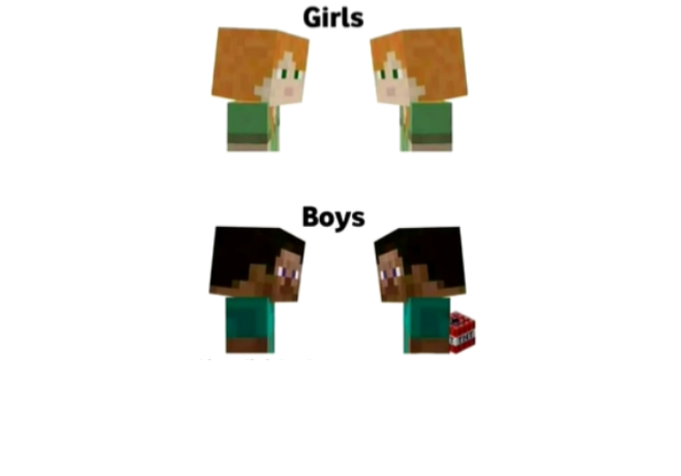 Girls VS Boys  meme template