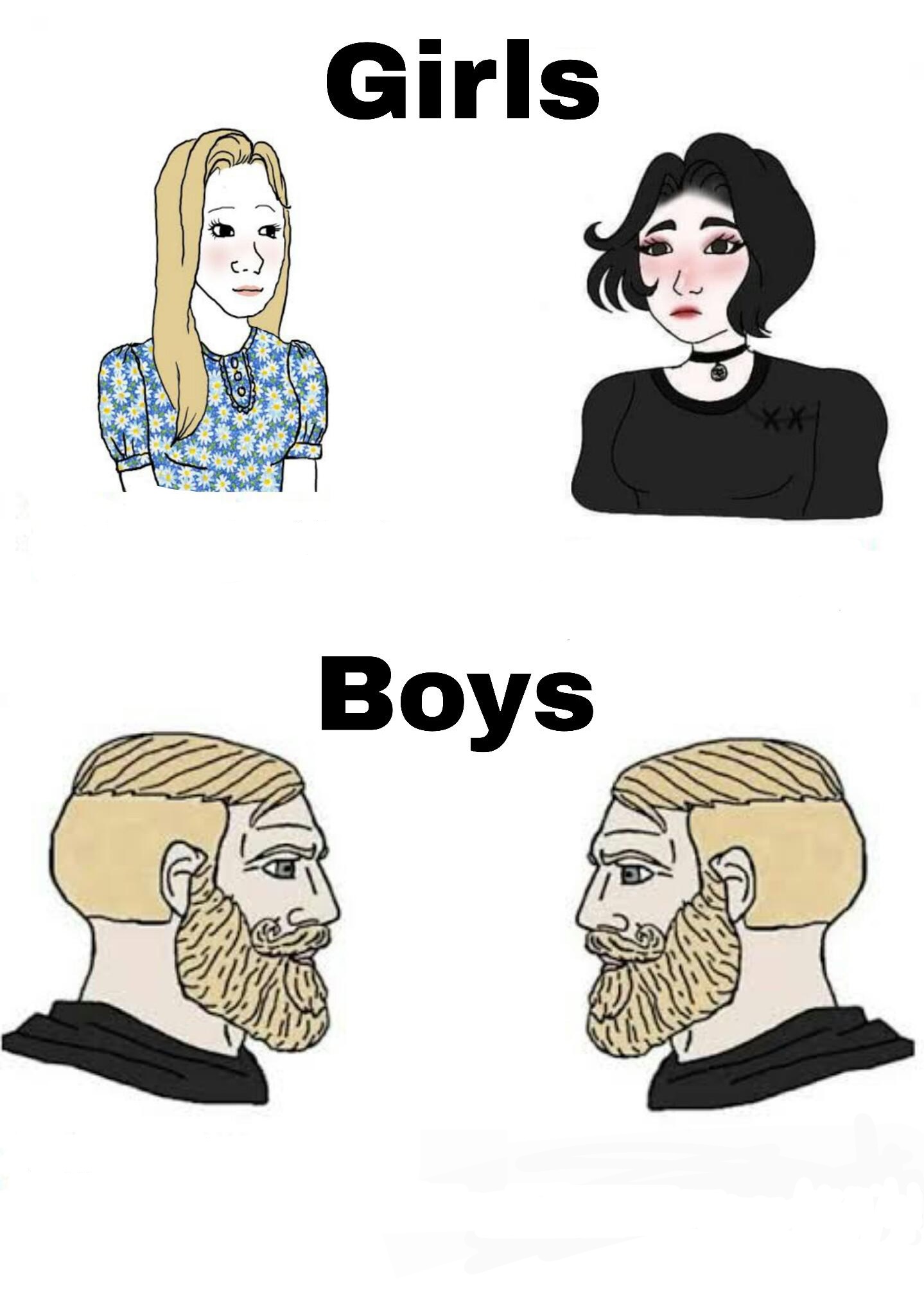 Girls vs Boys meme template