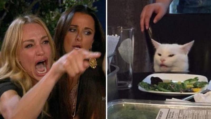 Girls vs Cat  meme template