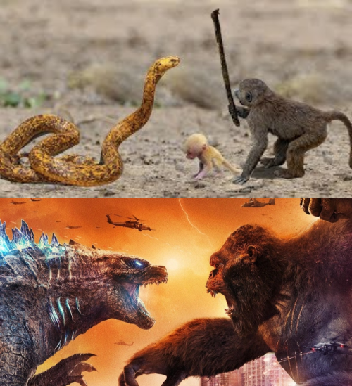 Godzilla vs. King Kong  meme template