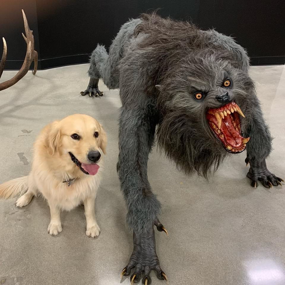 Good dog scary dog  meme template