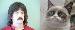 Grumpy Cat's Father meme template