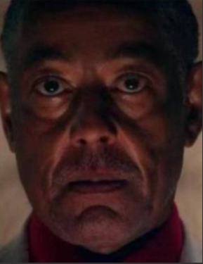 Gus fring  meme template