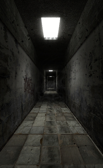 hallway  meme template