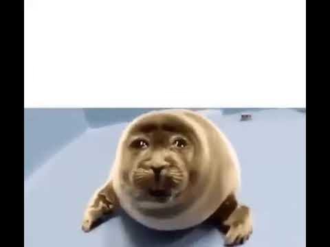 he was forced to eat cement  meme template