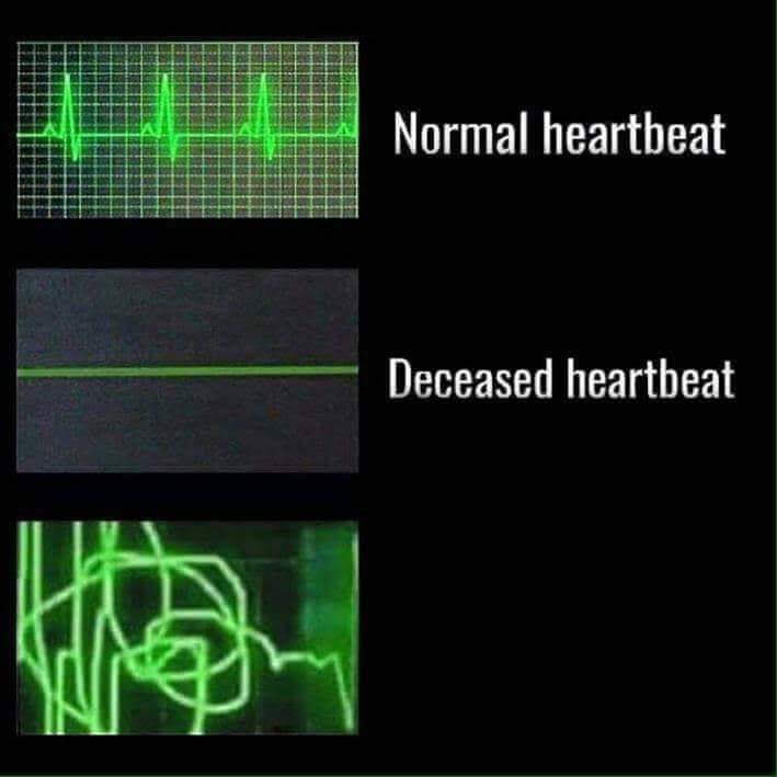 Heart beat meme  meme template