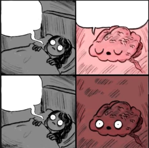 Hey Brain Are You Going to Sleep?  meme template