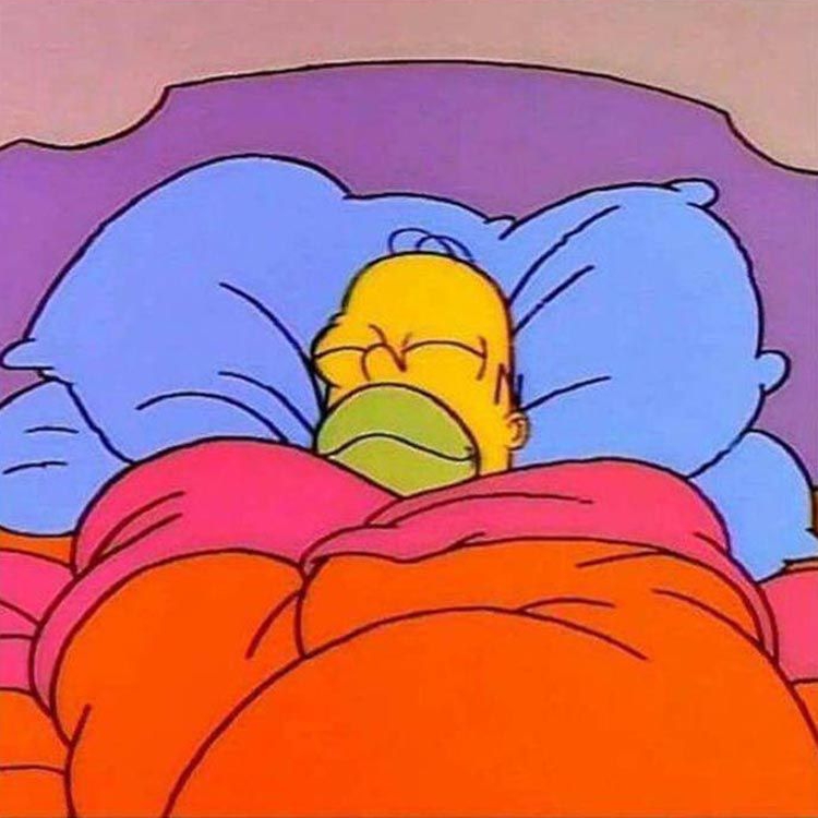 Homer Napping  meme template