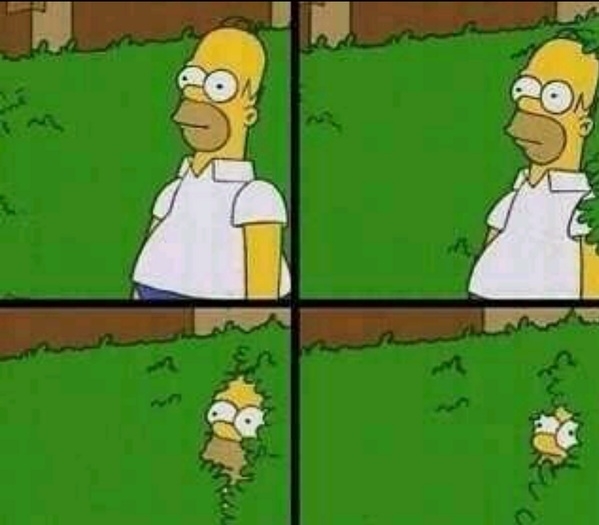 Homer Simpson Nope  meme template