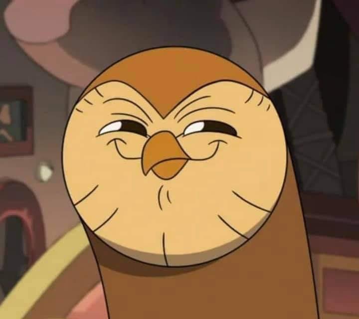 Hooty like  meme template