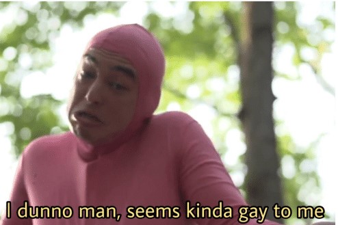 I dunno man seems kinda gay to me  meme template