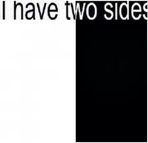 i have two sides  meme template