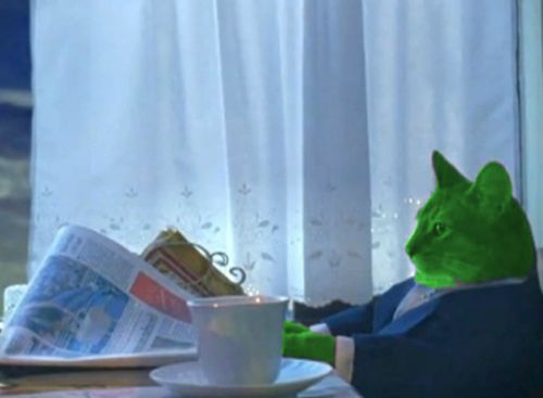 I Should Buy a Boat RayCat  meme template