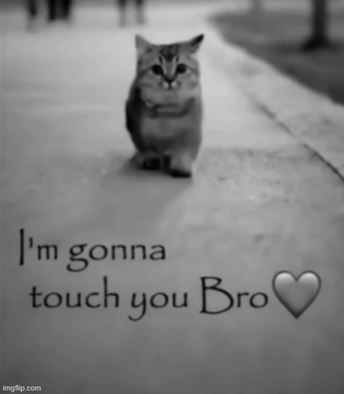 I'm gonna touch you bro meme template