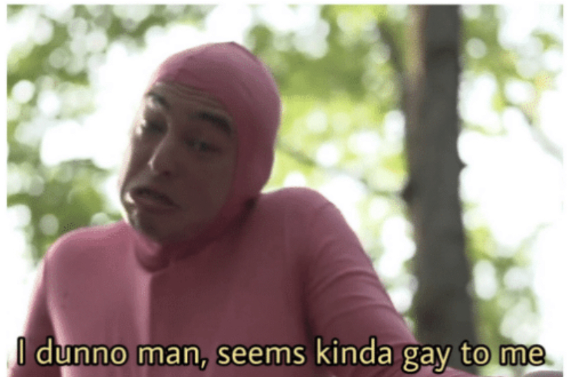Idk man seems kinda gay  meme template
