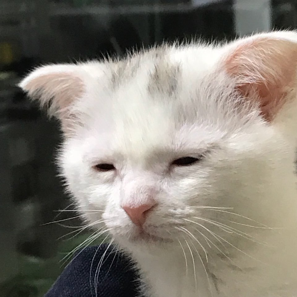 I'm awake, but at what cost?  meme template