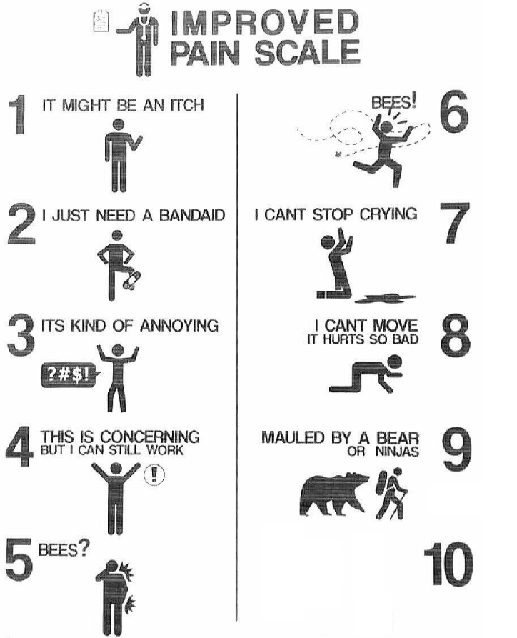 Improved Pain Scale  meme template