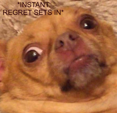 Instant regret sets in  meme template