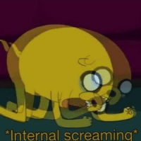 Jake The Dog Internal Screaming  meme template