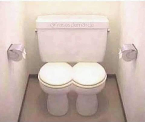 Joint Combined Toilet for Married Couples  meme template