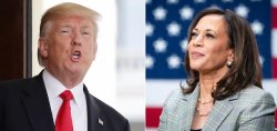 kamala vs trump meme template