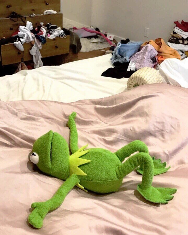 Kermit bed meme  meme template