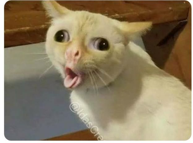 Kids cough  meme template
