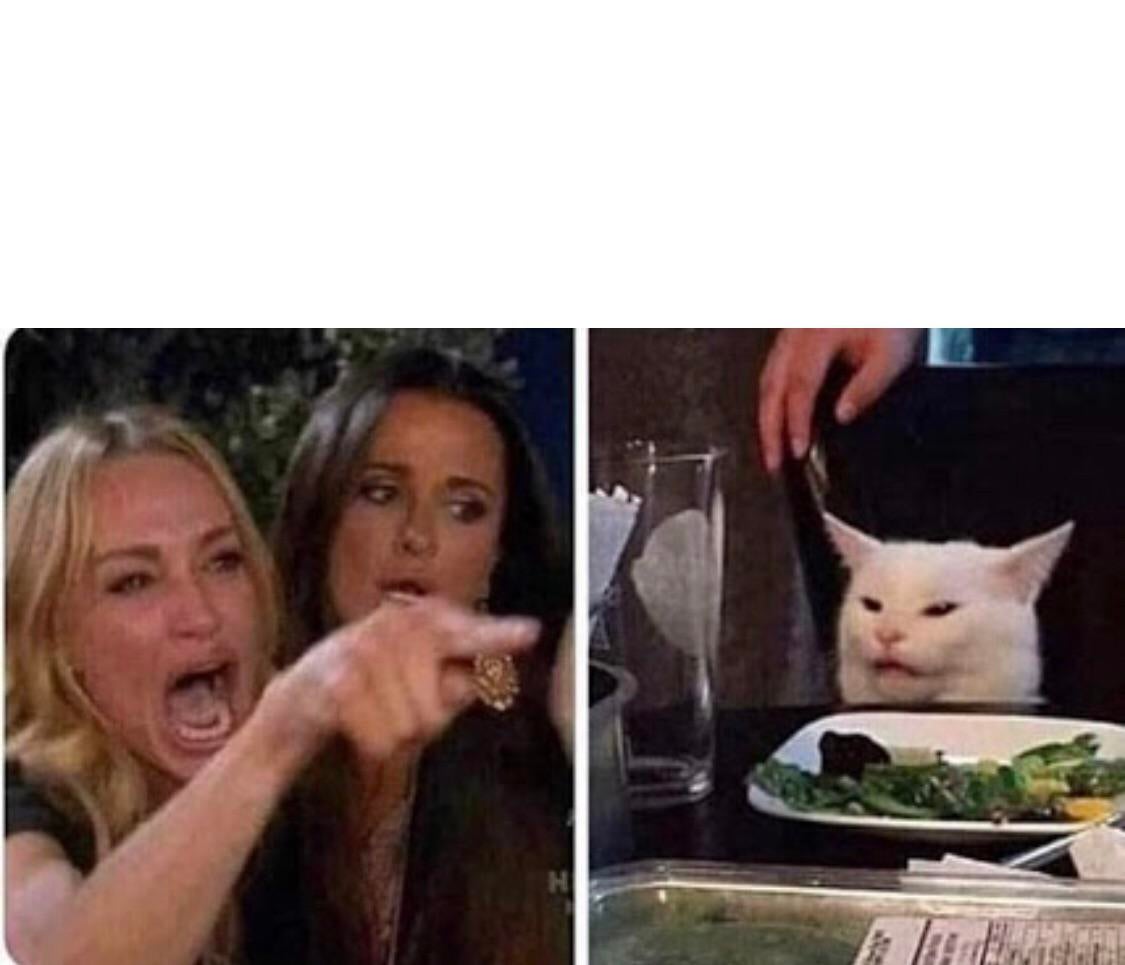 Lady screams at cat  meme template