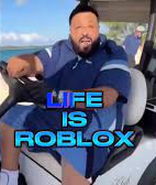 Life is Roblox meme template