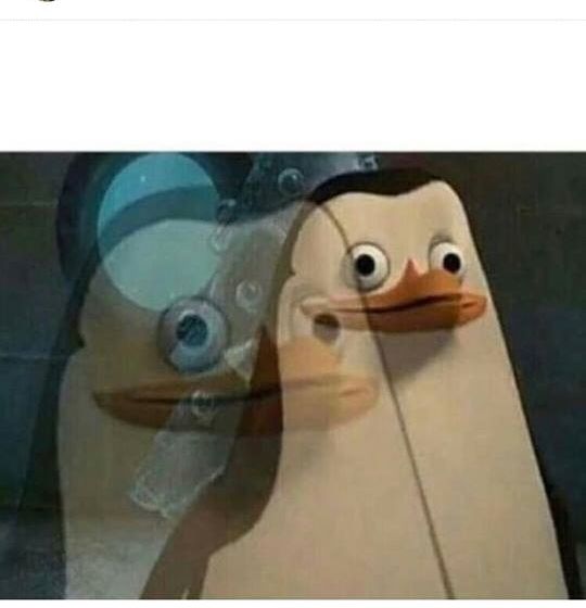 Madagascar Meme  meme template