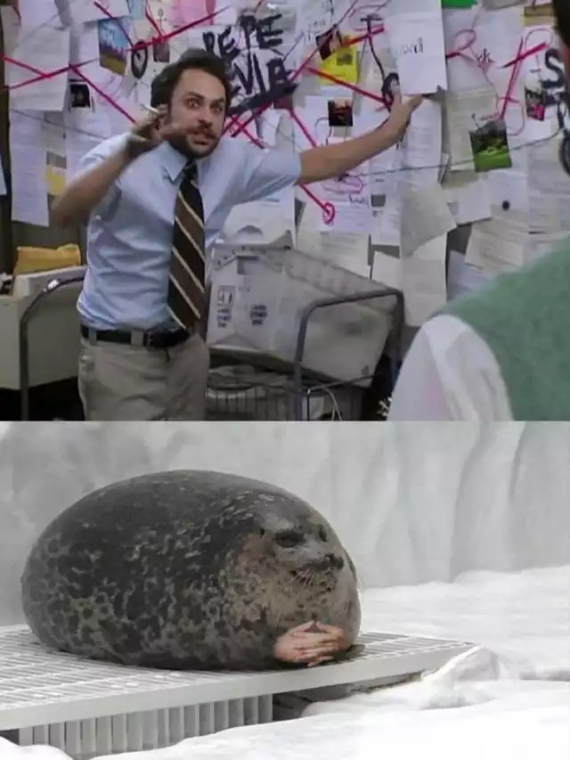 Man explaining to seal  meme template