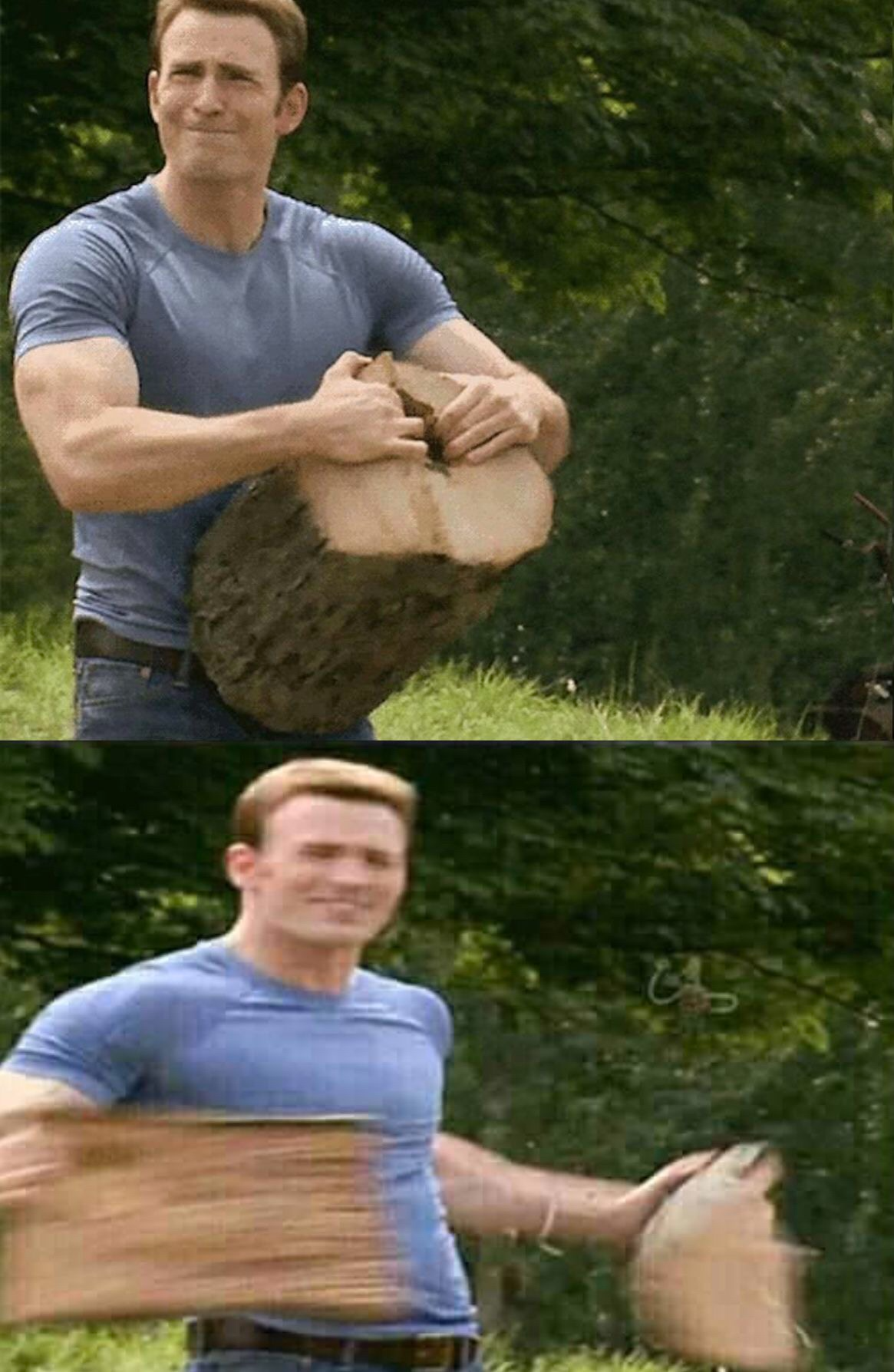 Man splits log  meme template