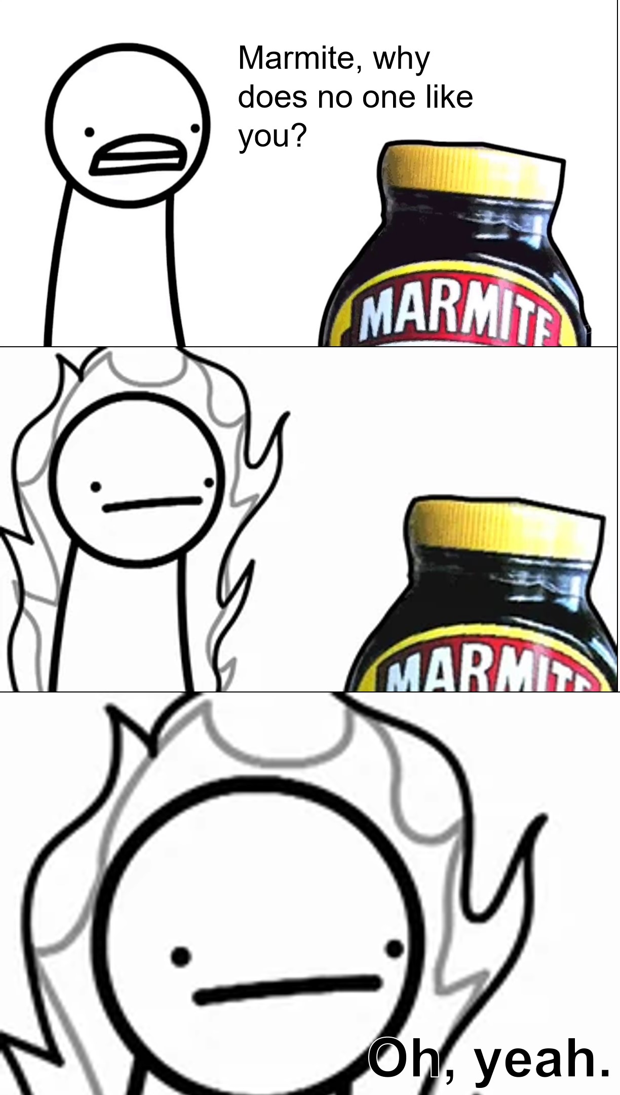 Marmite why does no one like you  meme template