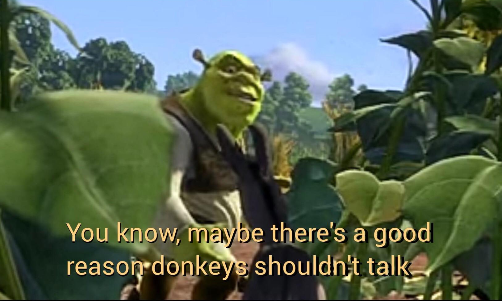 Maybe there's a good reason donkeys shouldn't talk  meme template