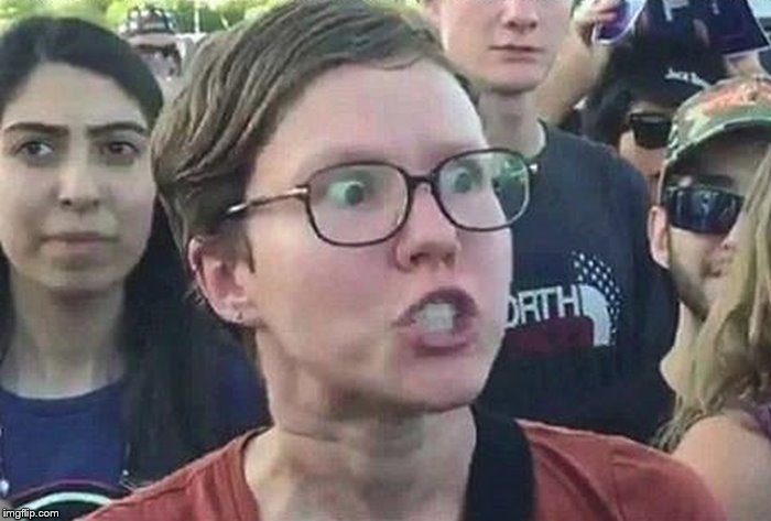 meme angry woman  meme template