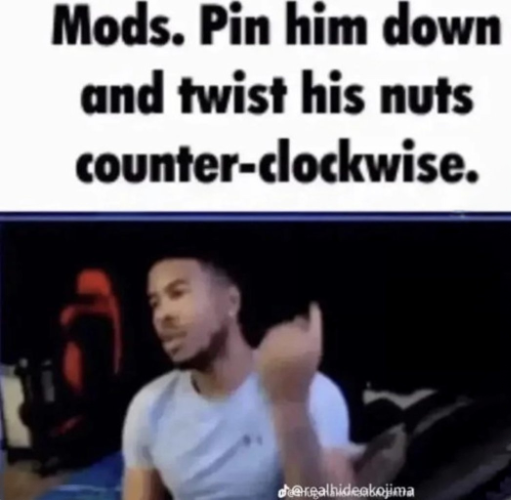 Mods. Pin him down and twist his nuts counter-clockwise. meme template