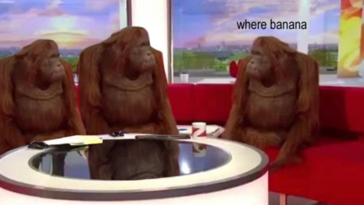 Monkeys on a couch  meme template