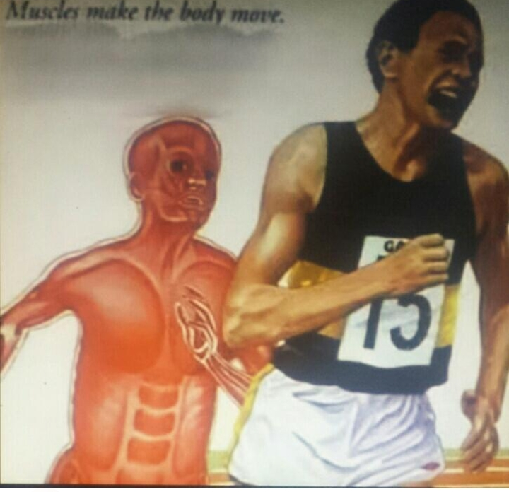 Muscle runner  meme template
