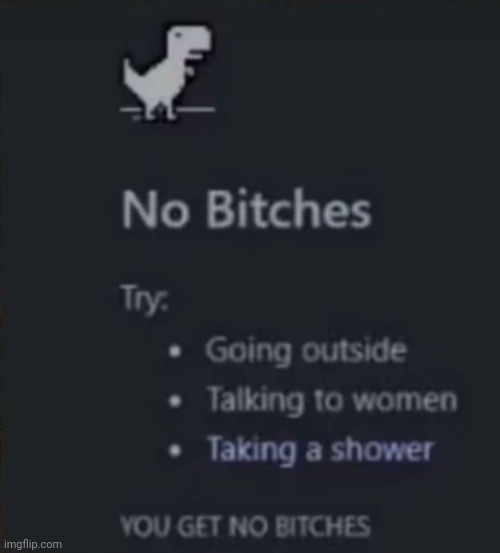 NO BICHES  meme template