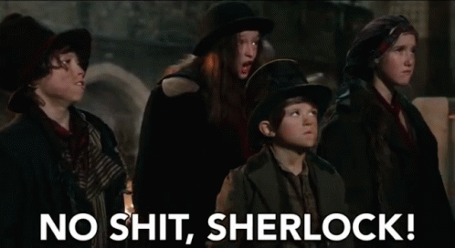 No shit sherlock  meme template