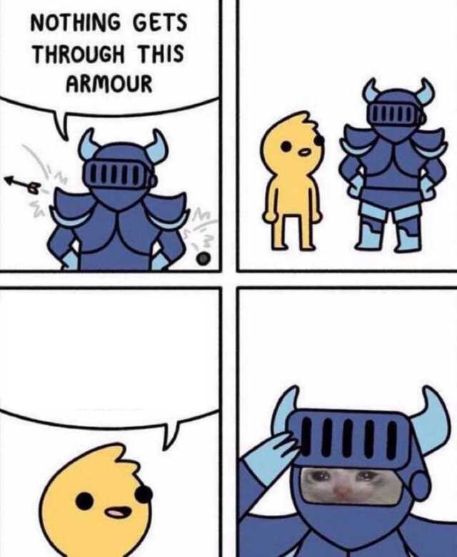Nothing Gets Through This Armour  meme template