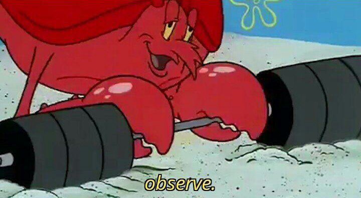 Observe  meme template